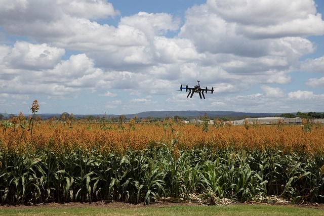 agriculture-3182252_640 agriculture-3182252_640